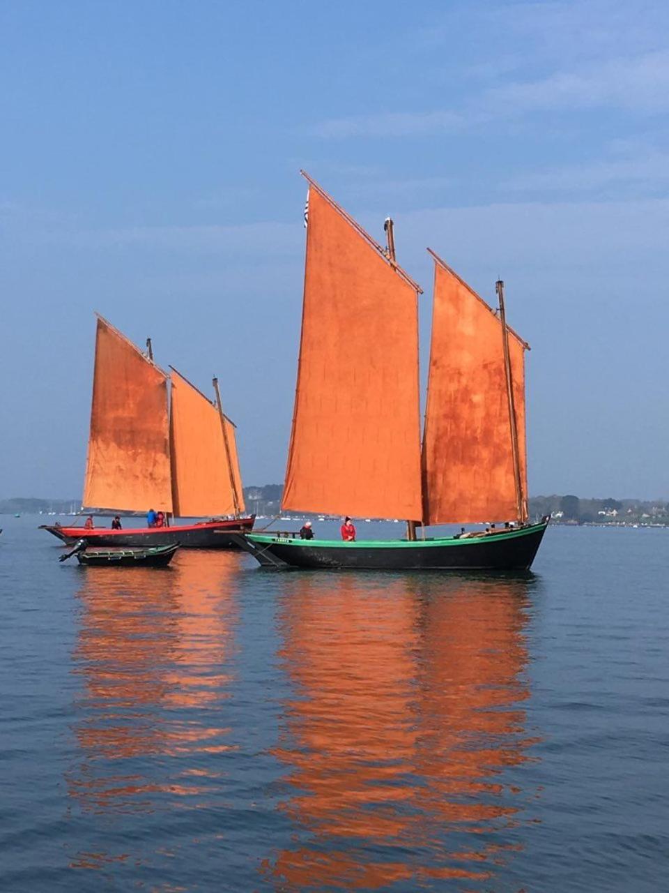 1 2 3 Chambres Entre La Presqu Ile De Rhuys Et Le Golfe Du Morbihan Theix Esterno foto